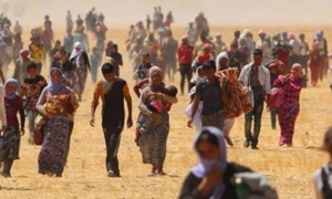 Türk Hukukunda Mülteci Ve Sığınmacıların Etkili Başvuru Hakkı 1