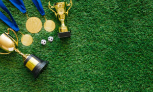 Spor Kulüpleri Ve Spor Federasyonları Kanunun Getirdiği Yenilikler(5)