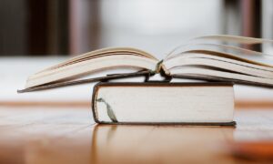 Yabancı Mahkeme Kararlarının Tanınması ve Tenfizinde Meydana Gelebilecek Problemler ve Çözüm Yolları