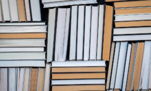 Mahkeme Kararlarının Uygulanmaması Sebebi İle Açılan Tazminat Davasında Zamanaşımı İşlemez