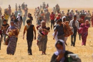 Türk Hukukunda Mülteci Ve Sığınmacıların Etkili Başvuru Hakkı 1